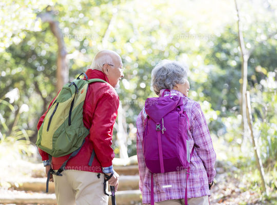 healthy life expectancy