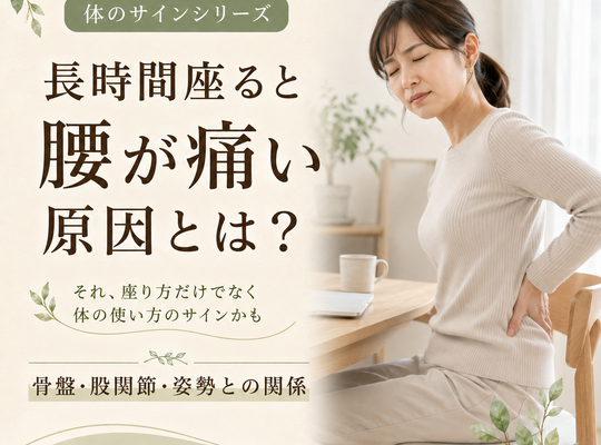 장시간 앉으면 허리가 아픈 원인이란? 골반, 고관절, 자세와의 관계