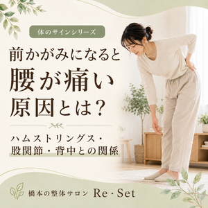 前かがみになると腰が痛い原因とは？ハムストリングス・股関節・背中との関係