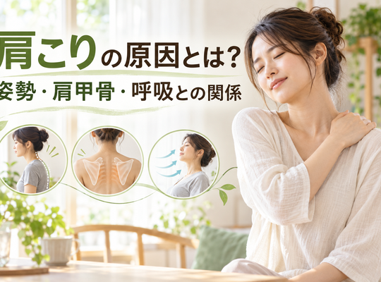 What causes stiff shoulders? The relationship between posture, shoulder blades, and breathing.