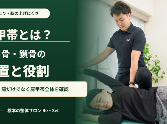 What is the shoulder girdle? The position and function of the scapula and clavicle | Also explaining its relationship to stiff shoulders.