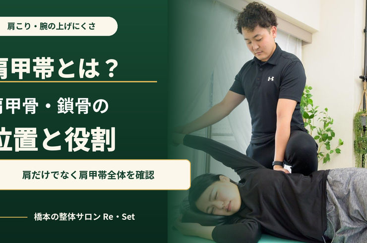 What is the shoulder girdle? The position and function of the scapula and clavicle | Also explaining its relationship to stiff shoulders.