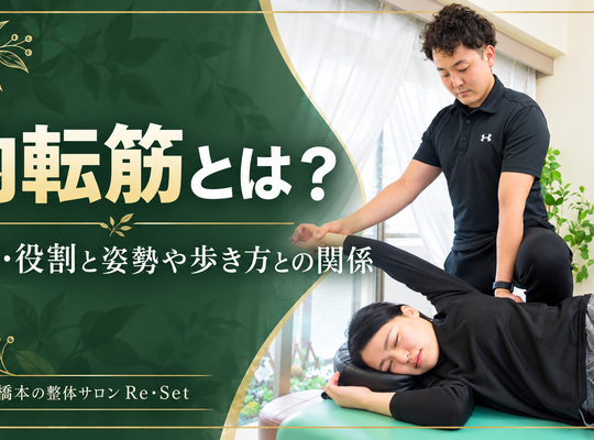 What are the adductor muscles? A chiropractor explains their location, function, and relationship to posture and gait.