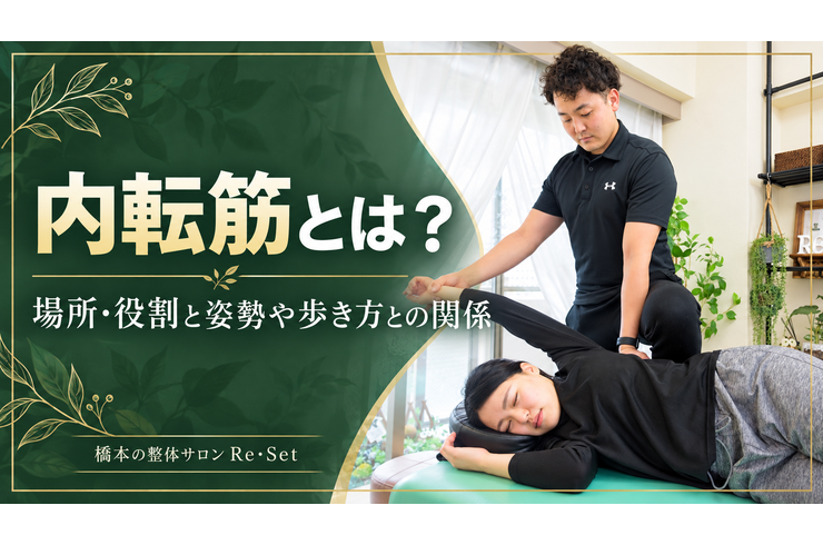 内転筋とは？場所・役割と姿勢や歩き方との関係を整体師が解説
